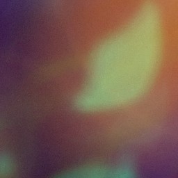 Bokeh-338